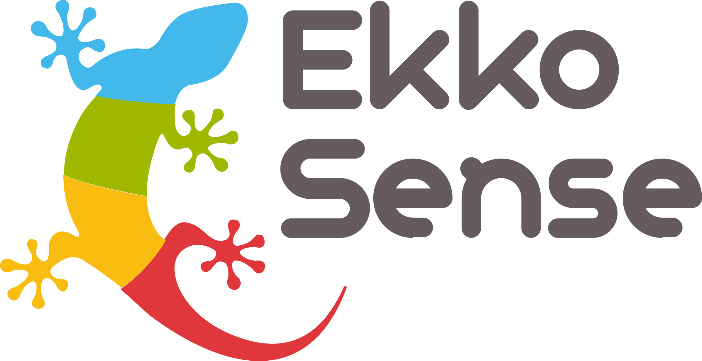 ekkosense